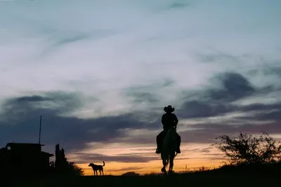 Cowboy at sunset